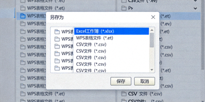 WPS 表格另存为对话框截图，突出显示保存为 Excel xlsx 格式的选项
